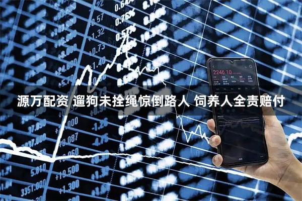 源万配资 遛狗未拴绳惊倒路人 饲养人全责赔付