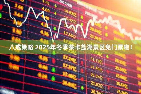 八戒策略 2025年冬季茶卡盐湖景区免门票啦！